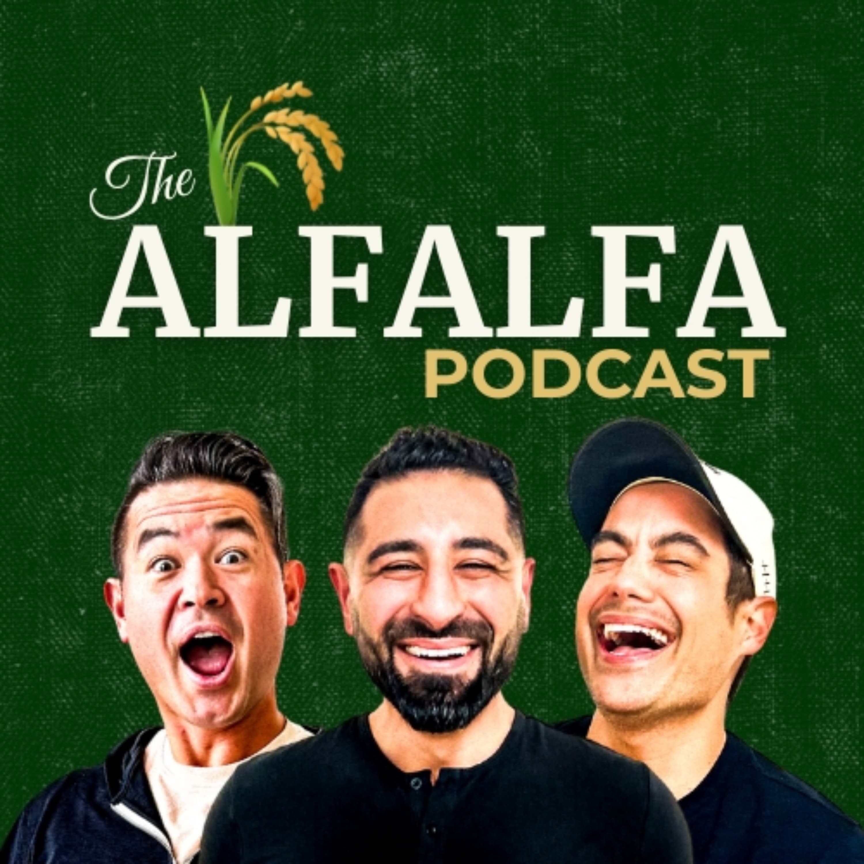 Alfalfa